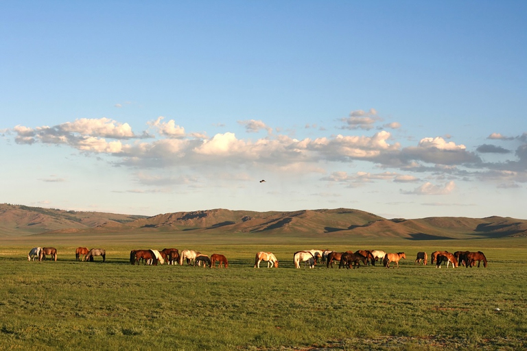 Mongolia