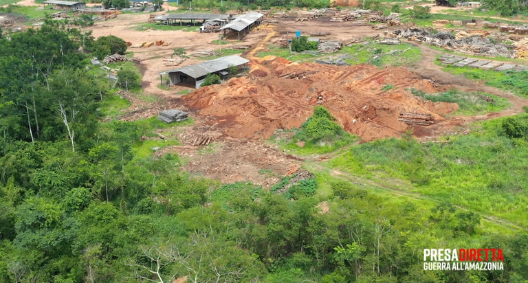 Amazzonia Presadiretta