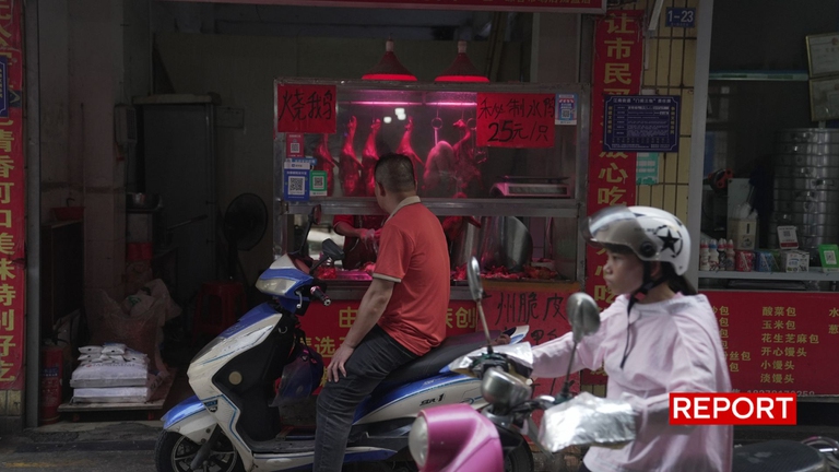 giulia innocenzi allevamenti intesivi