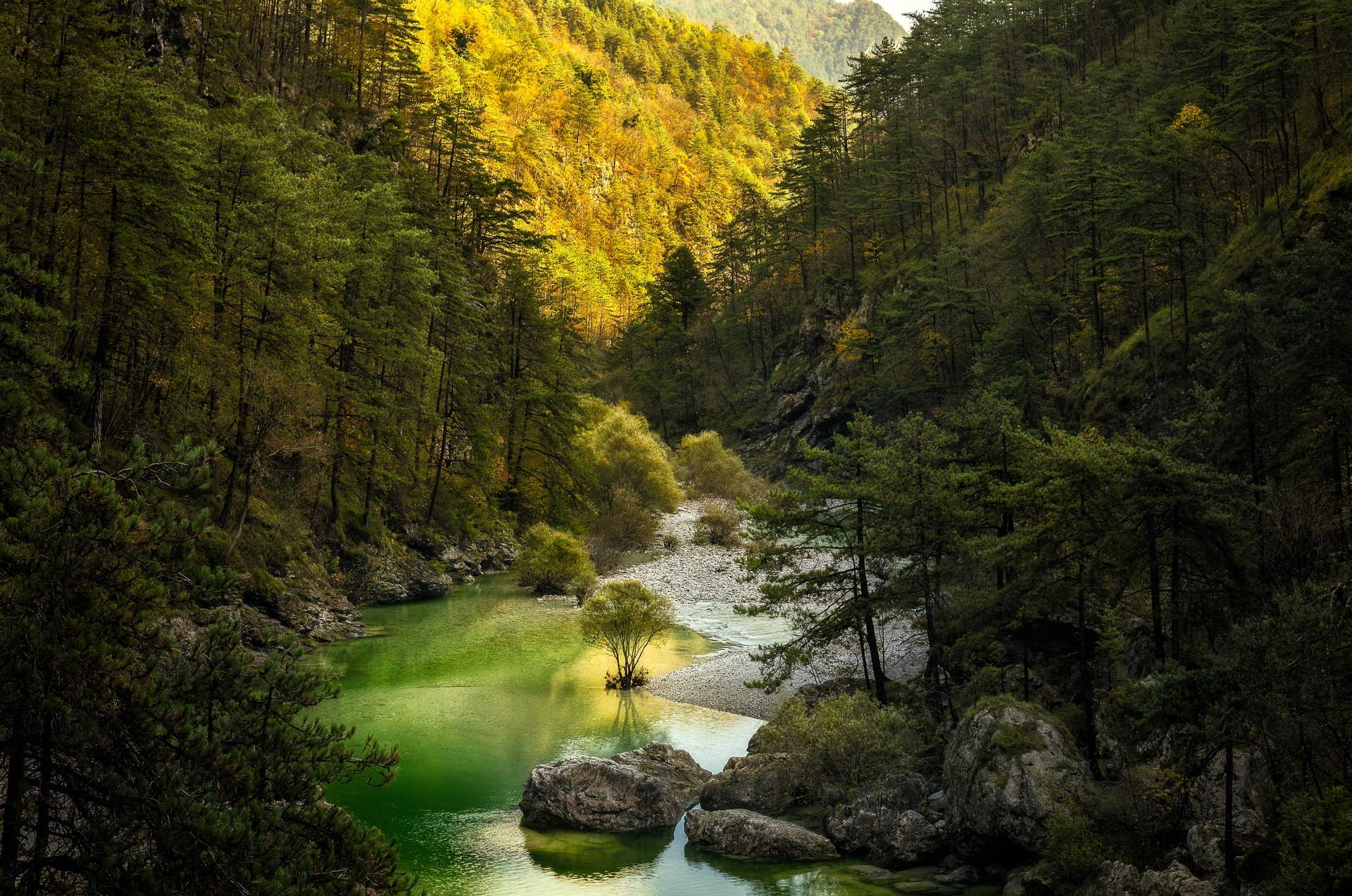 FOTO 3 - MAURO REGHELLIN