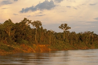 Martín von Hildebrand e il progetto Coama: per l’Amazzonia e le sue genti