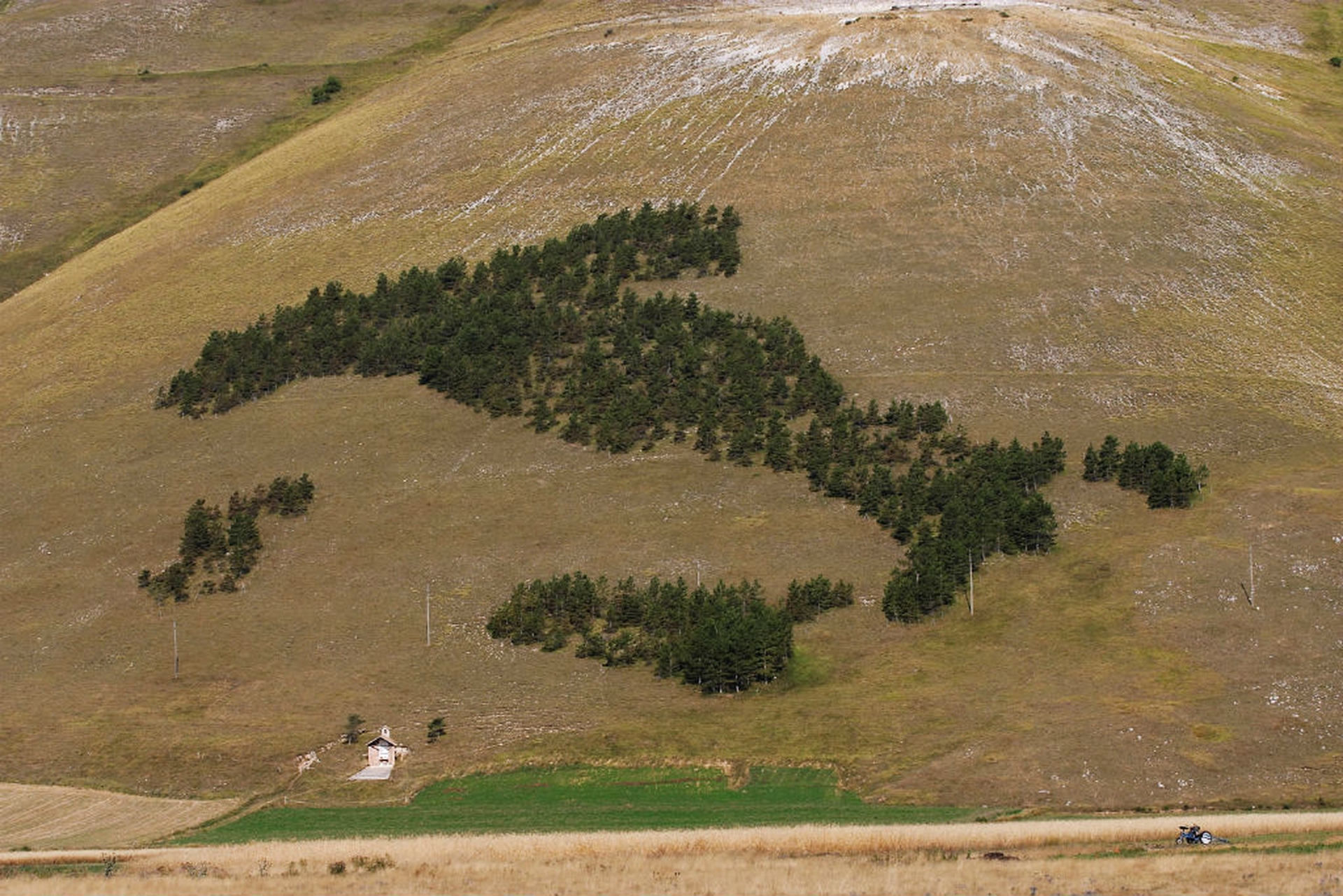 Boschi e foreste in Italia