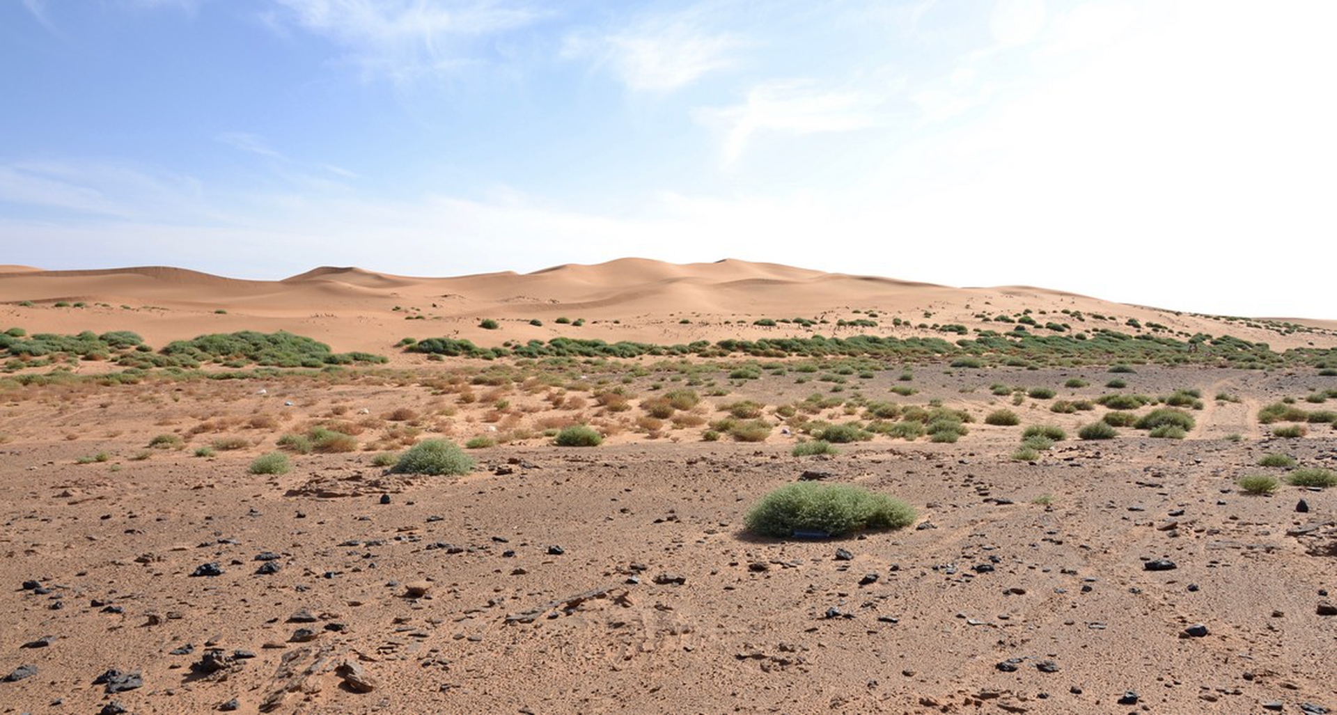 Sahara Marathon, la corsa solidale nel deserto in favore del popolo Saharawi
