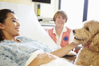 Come si diventa operatori di pet therapy, una guida ai corsi