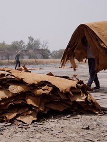 Perché dovremmo smettere di indossare materiali di origine animale