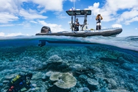 Acidificazione degli oceani, a breve supereremo il settimo “limite planetario”