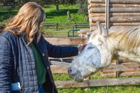 La storia di Buddy e di altri cavalli ciechi che hanno una nuova vita
