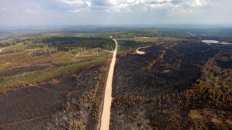 I danni provocati dagli incendi nella provincia dell'Alberta, in Canada