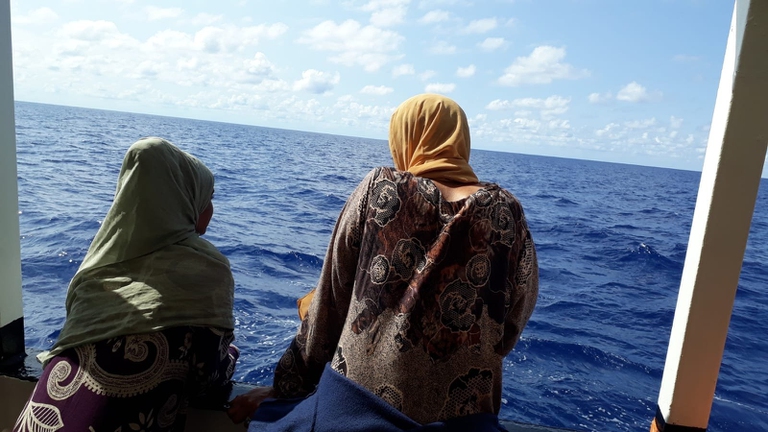 Open Arms e Emergency