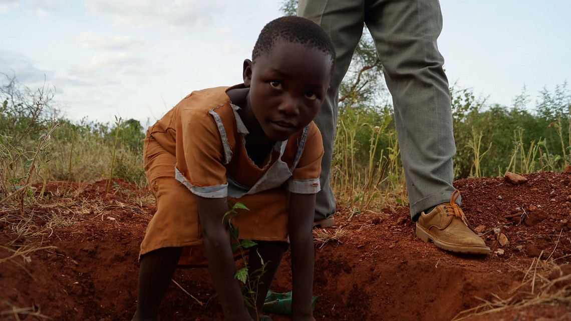 Planting the Trees of Kenya by Claire A. Nivola Planting the Trees of Kenya by Claire A. Nivola