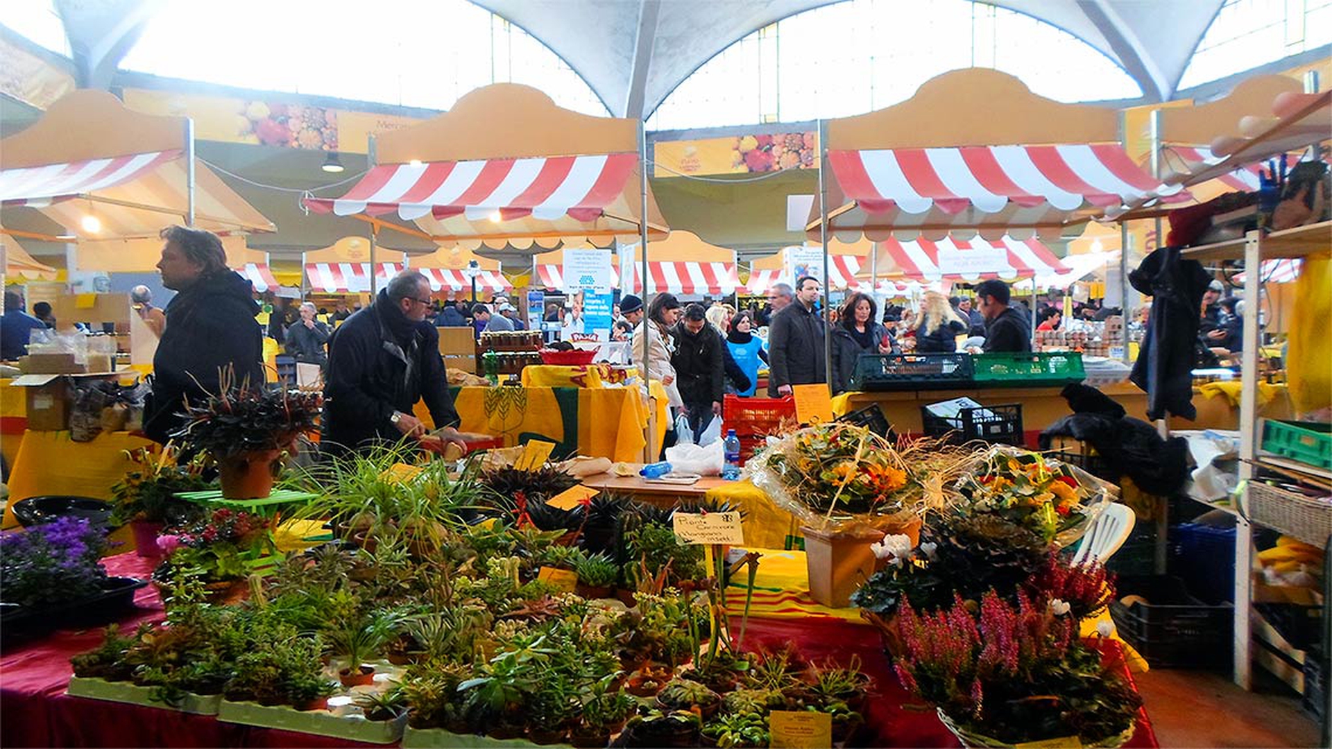 mercato-campagna-amica_1