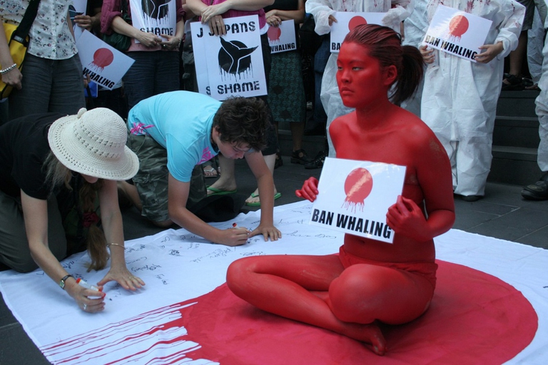 Protests against whaling