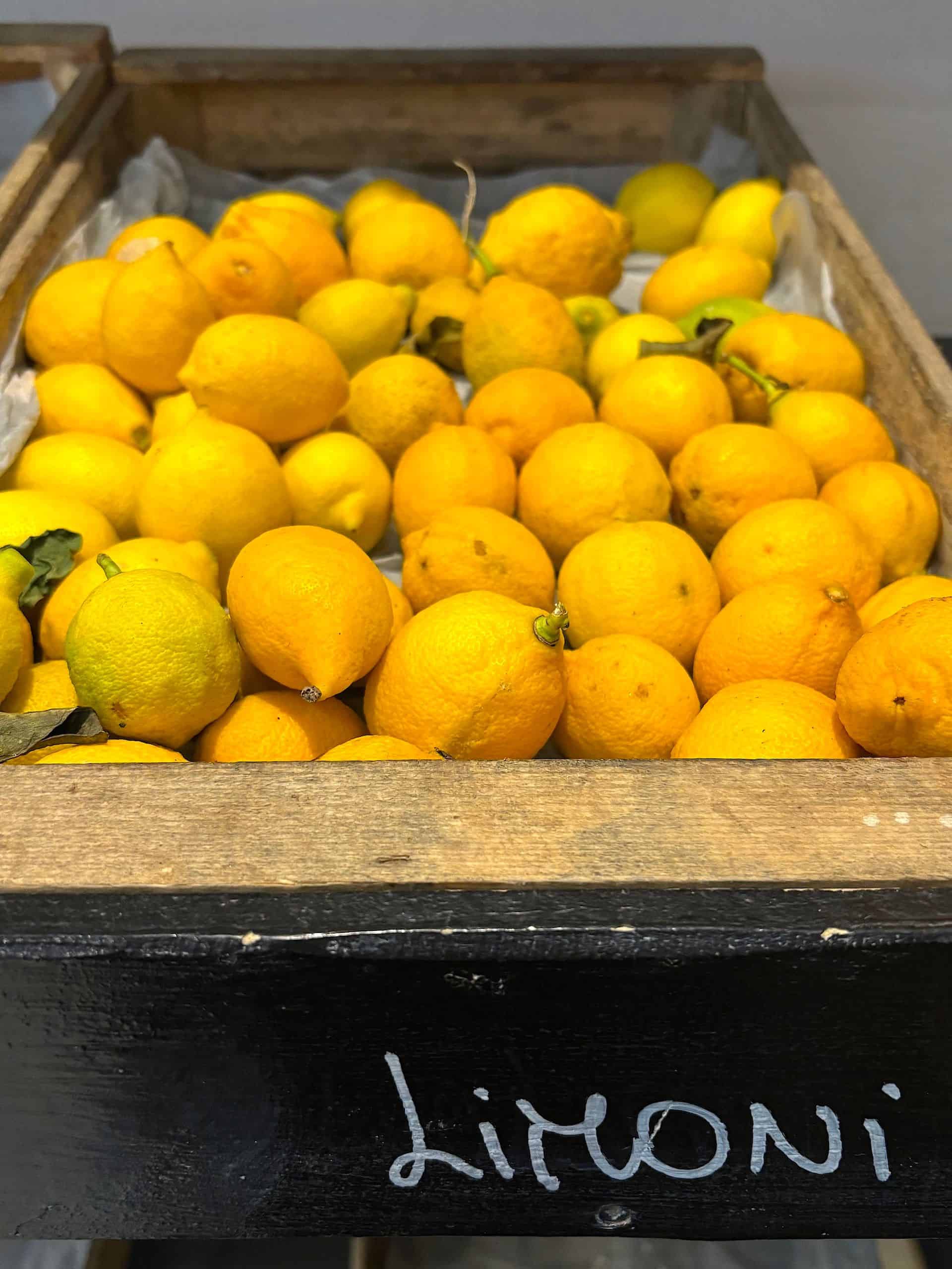 IMG_4416 di Beatrice Spagoni