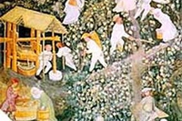 La storia della naturopatia