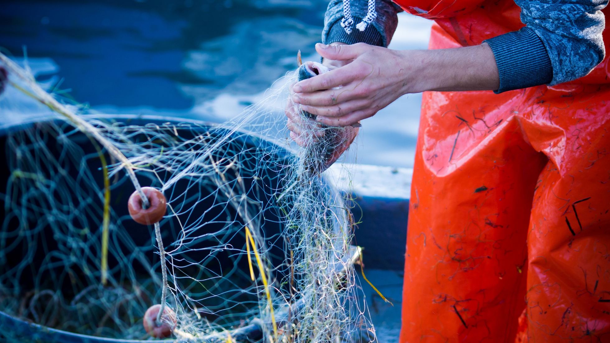 Pesca: migliora la situazione in Europa, ma servono ancora sforzi - LifeGate