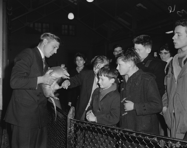 David Attenborough mostra un armadillo a un gruppo di bambini durante una loro visita natalizia allo zoo di Londra