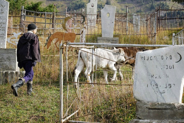 Jyrgalan, pastore e vacche © Gloria Schiavi