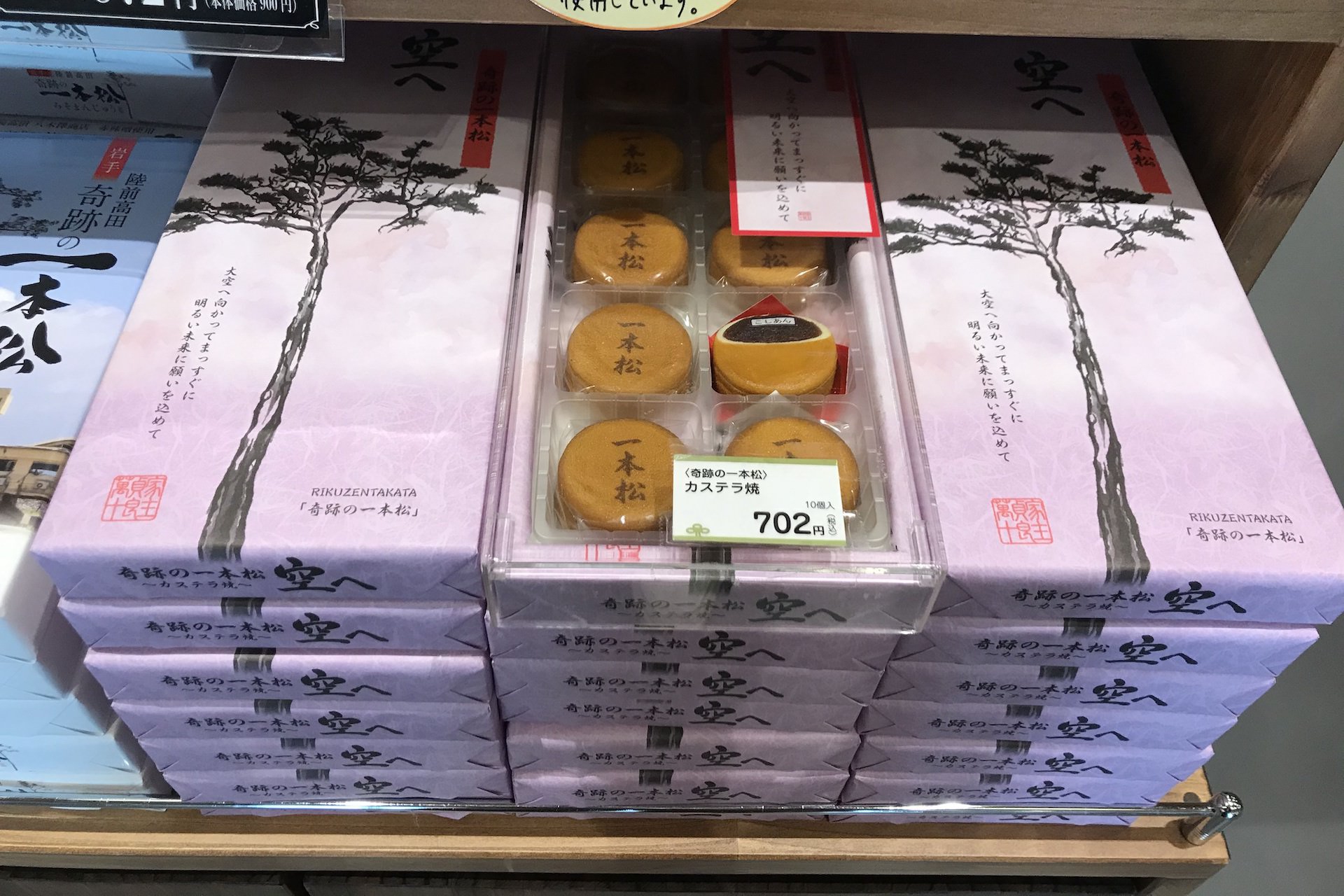 Il pino dei miracoli a Rikuzentakata