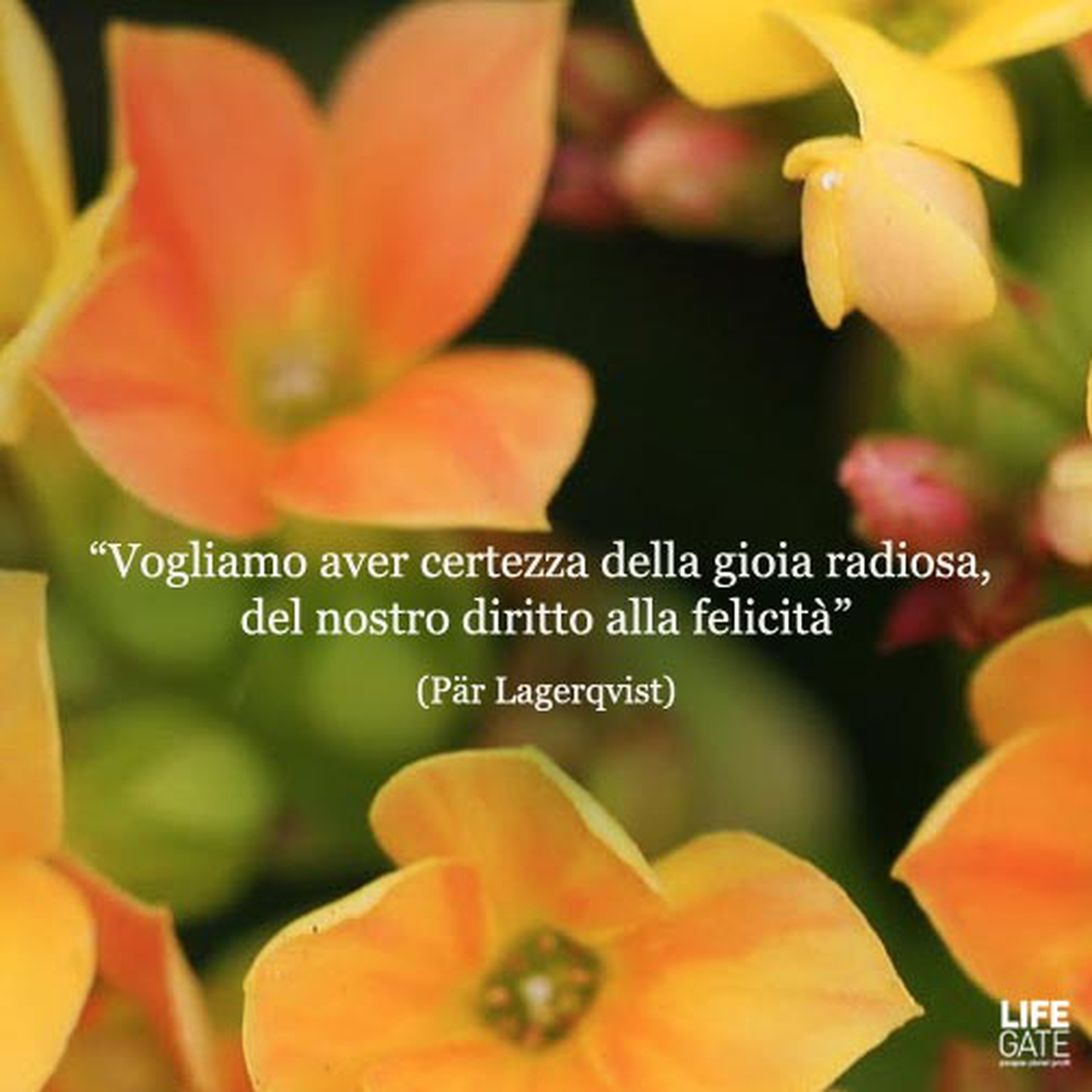 Le citazioni più belle per sempre - Pär Fabian Lagerkvist