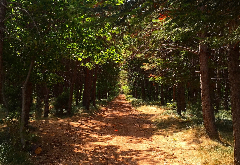 uomini percorso amore