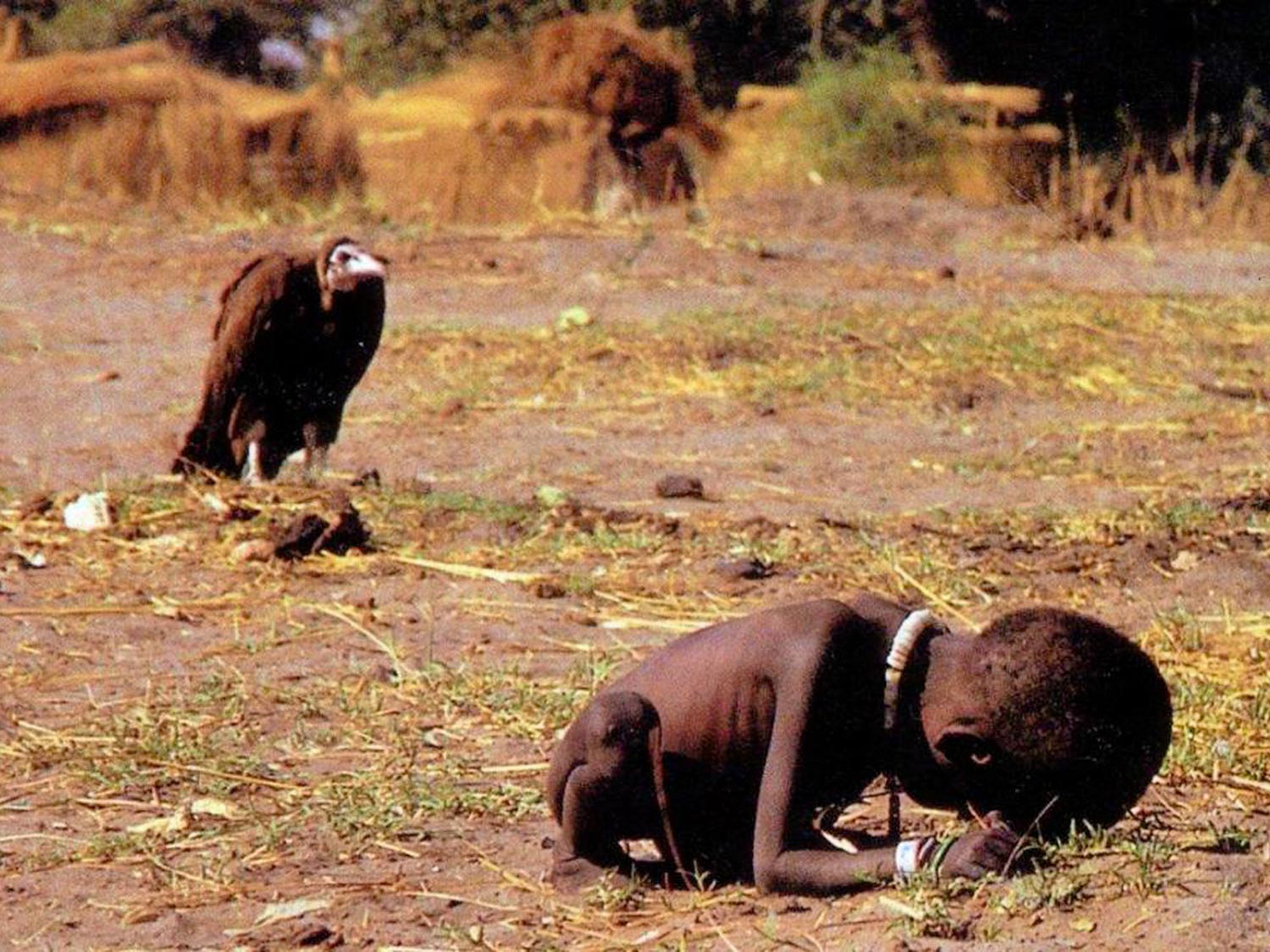 1993, Kevin Carter, bambino e avvoltoio