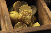 Dagli scarti dei limoni arrivano i nutraceutici che prevengono diverse patologie