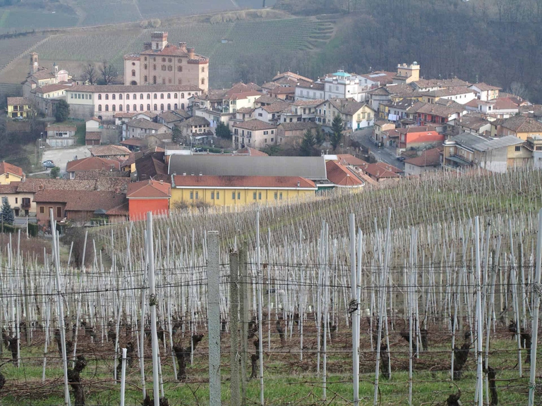Barolo, Bar to Bar, Lanche, cammini