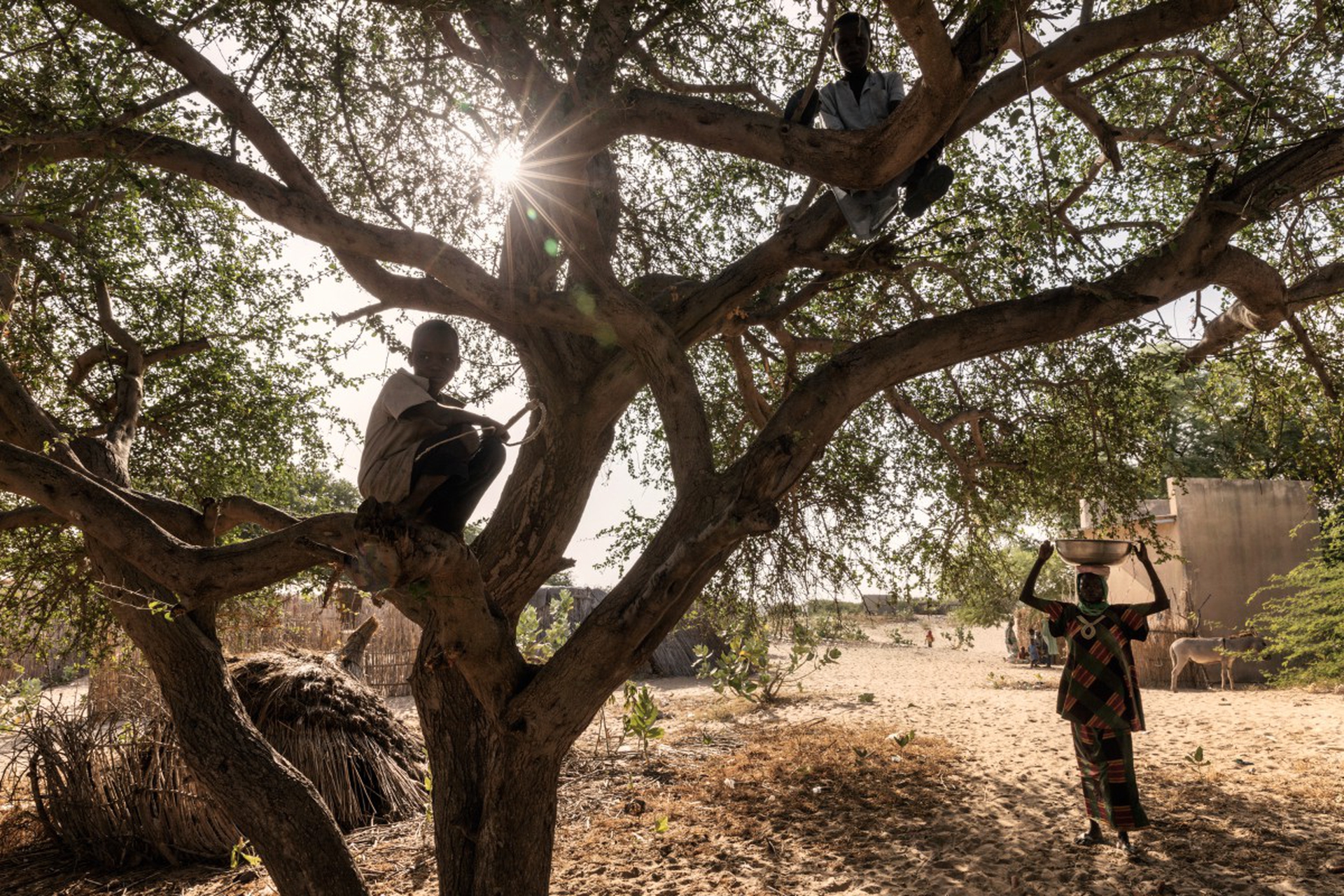 La crisi del lago Ciad, Marco Gualazzini