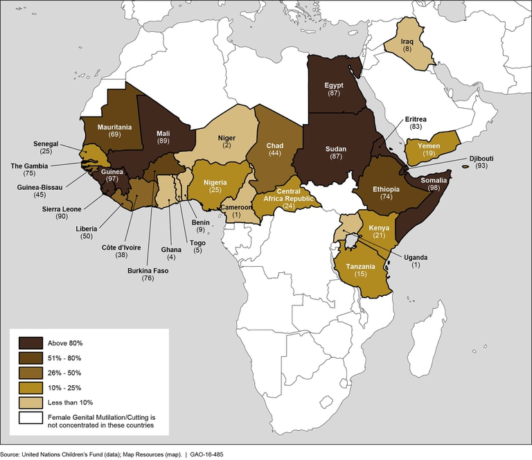 La diffusione delle MGF in Africa e in Medio Oriente secondo i dati dell'UNICEF basati su sondaggi rappresentativi a livello nazionale condotti dal 2004 al 2015