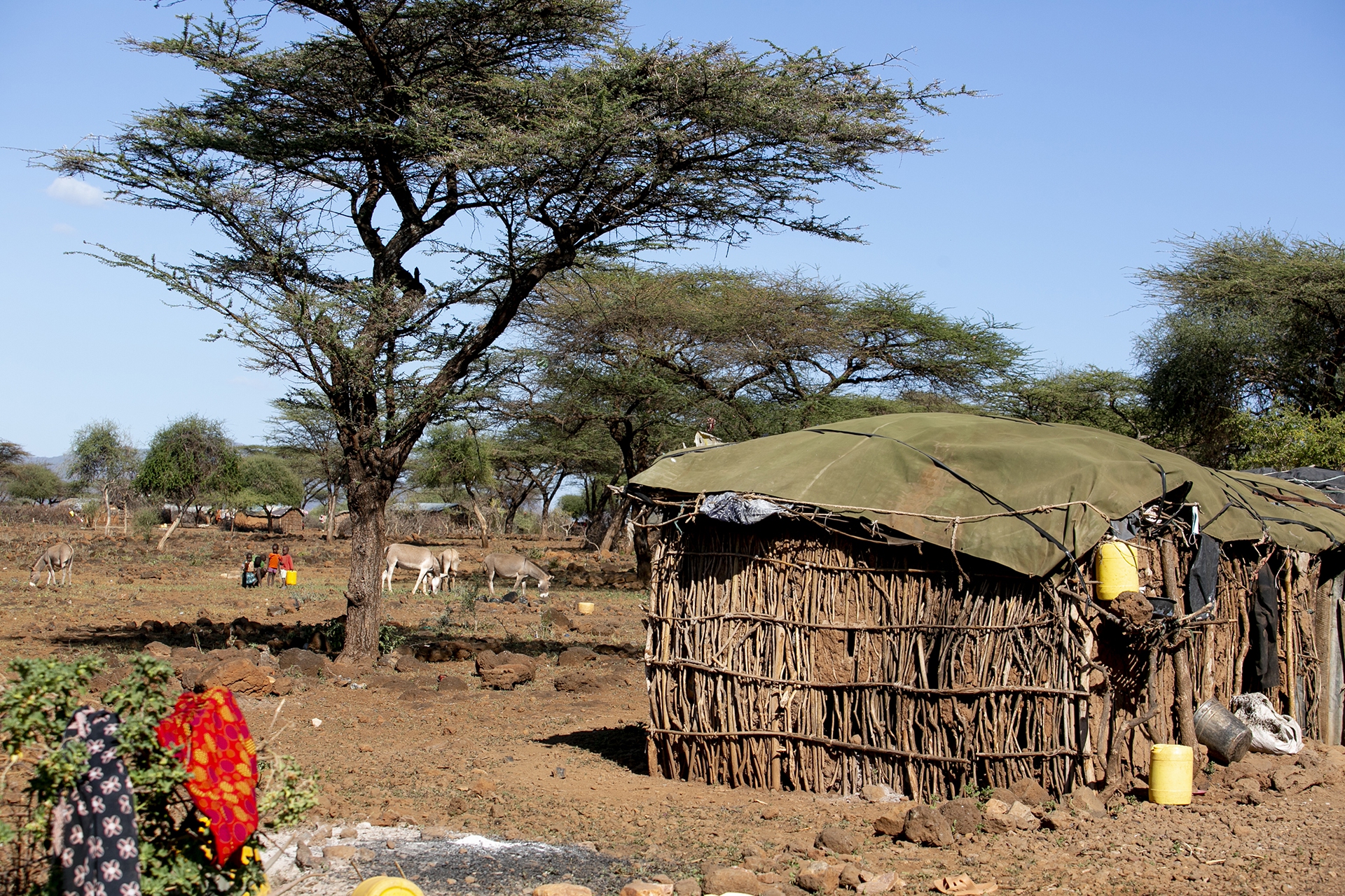 Cesvi nel Corno d'Africa