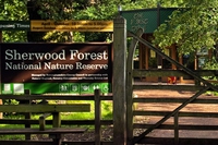 Lo shale gas minaccia la foresta di Robin Hood in Inghilterra