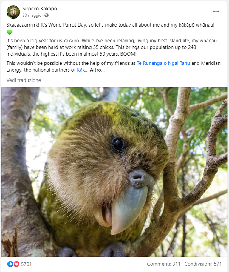 kakapo facebook