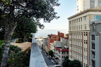I giardini segreti di San Francisco, piccoli polmoni verdi sui tetti