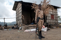 La guerra in Tigray si è trasformata in una campagna di pulizia etnica