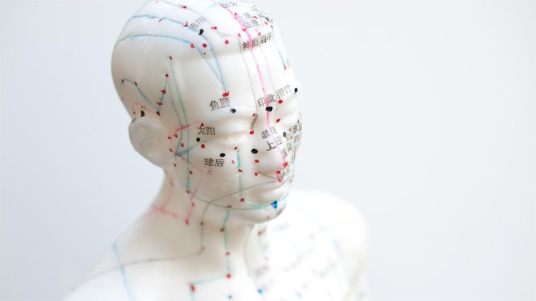 Nell’essere umano si possono individuare varie linee e forme di espressione di questa vitalità, che nel tempo vengono anche classificate e codificate. ©pexel