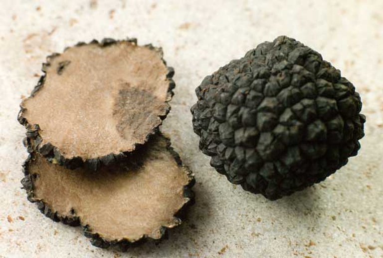 tartufi-neri
