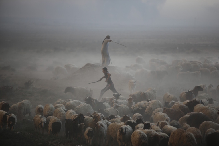 Iraq Battaglia Mosul