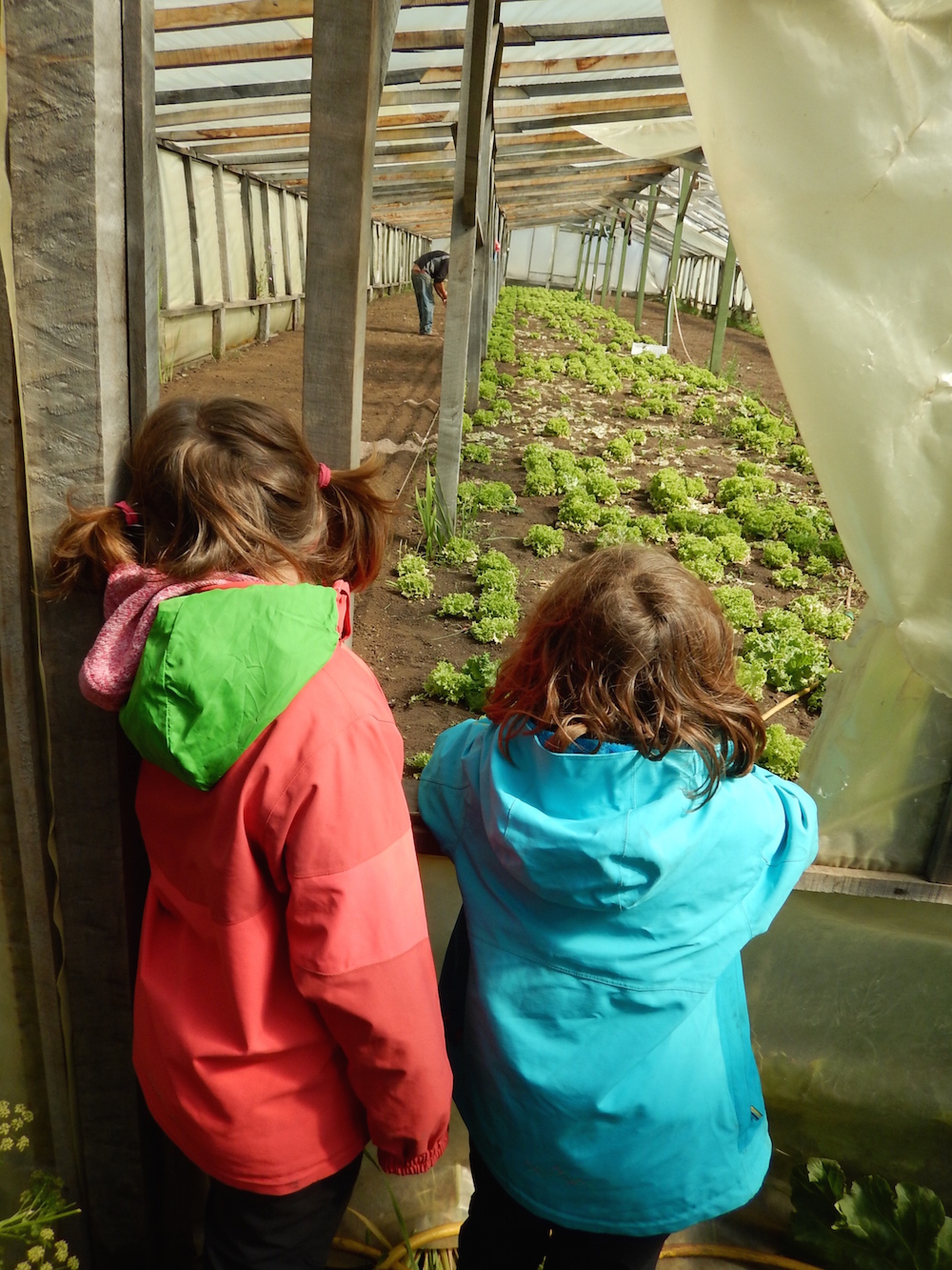 Biocycling, la famiglia in bicicletta