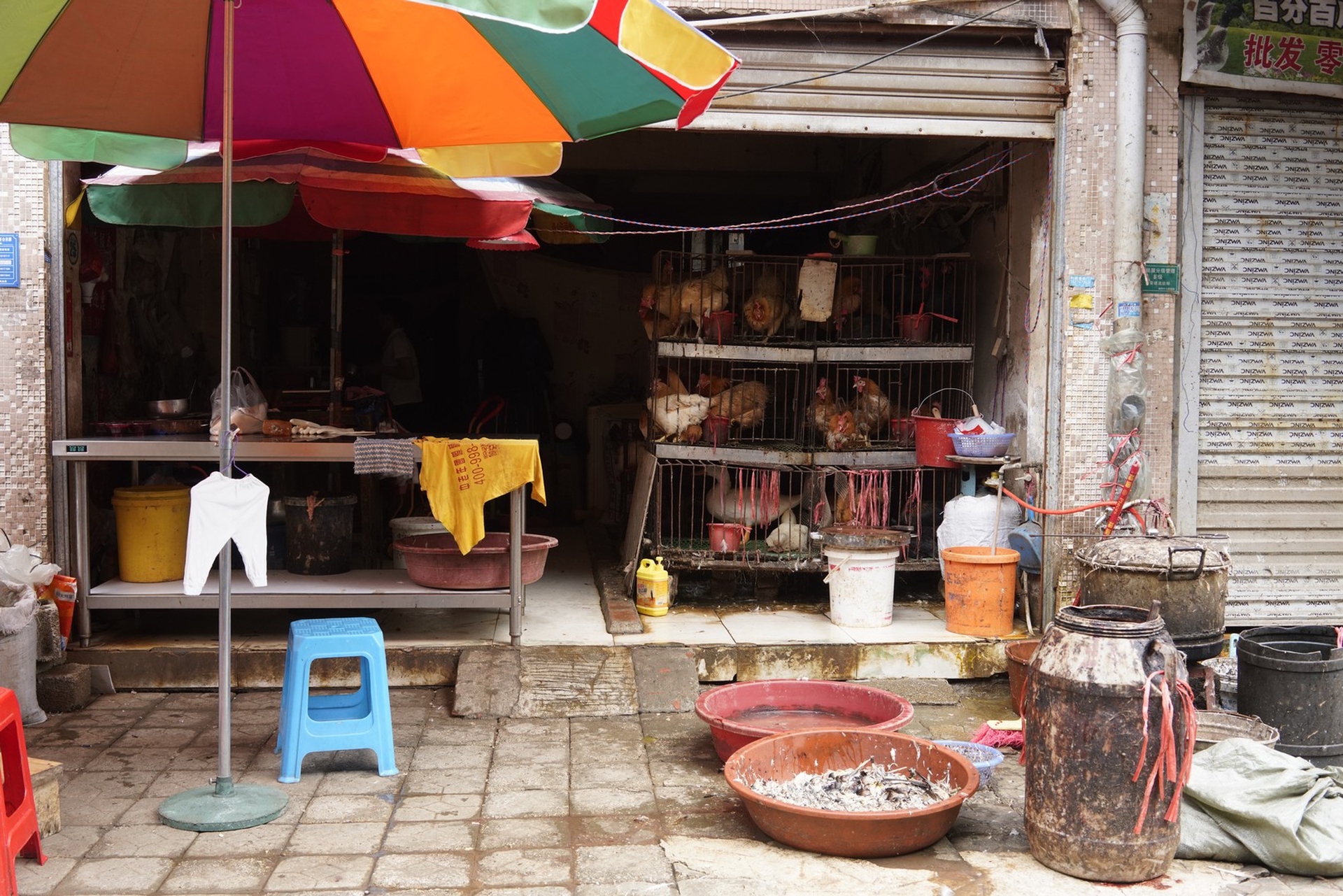 Un’immagine dai wet market in Cina