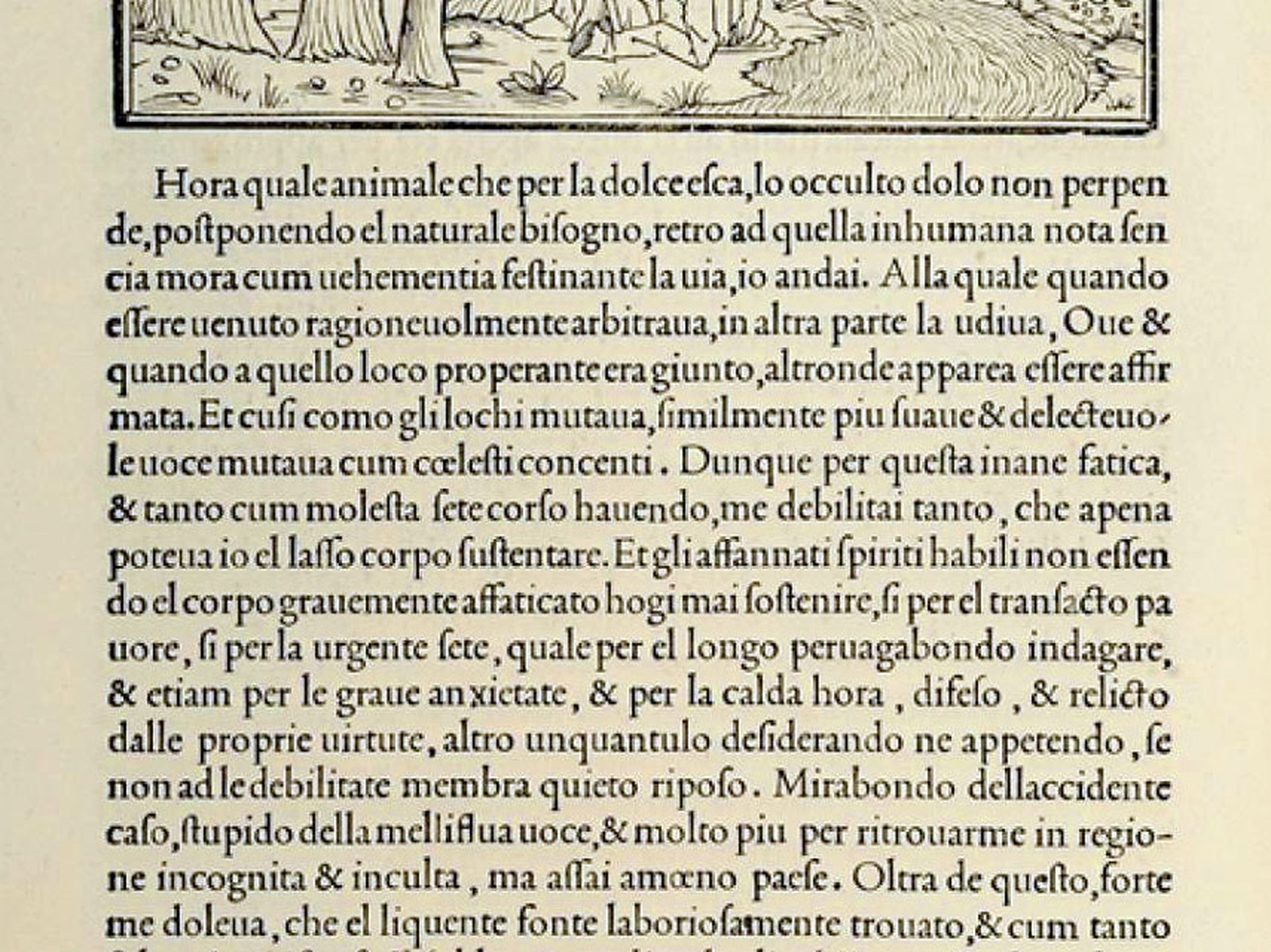 Aldo Manuzio e le edizioni aldine