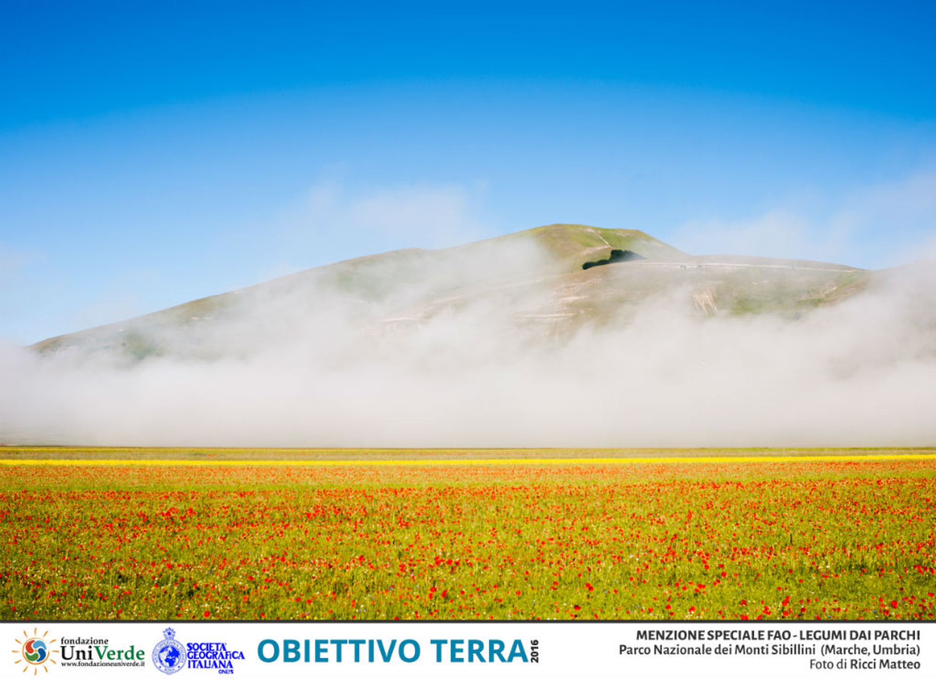 Ricci Matteo PN Parco Nazionale dei Monti Sibillini MENZIONE FAO - LEGUMI DAI PARCHI_1
