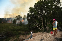 Le foreste hanno bisogno dell’uomo per essere protette