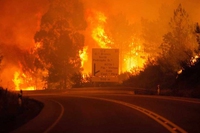 Portogallo devastato da un incendio indomabile. Decine di morti, villaggi inaccessibili
