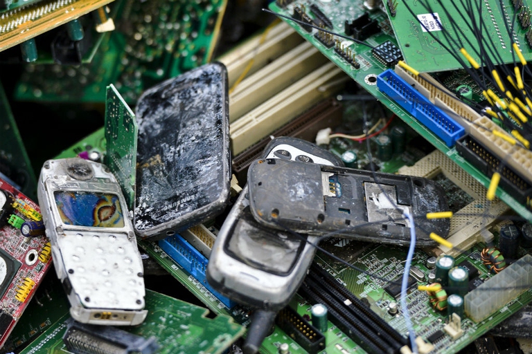 Jane Goodall Institute