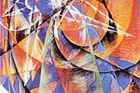 Sport e Radicali Liberi