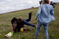 Operatrice tv ungherese licenziata per sgambetto e calci a profughi in fuga