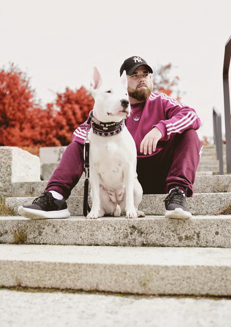 in Puglia legge su diritti animali e controllo del randagismo