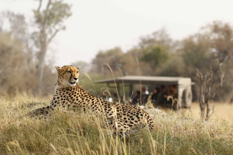 safari tanzania