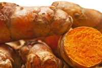 Turmeric, a powerful anti-cancer spice
