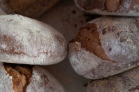 Quando il pane contiene una foresta